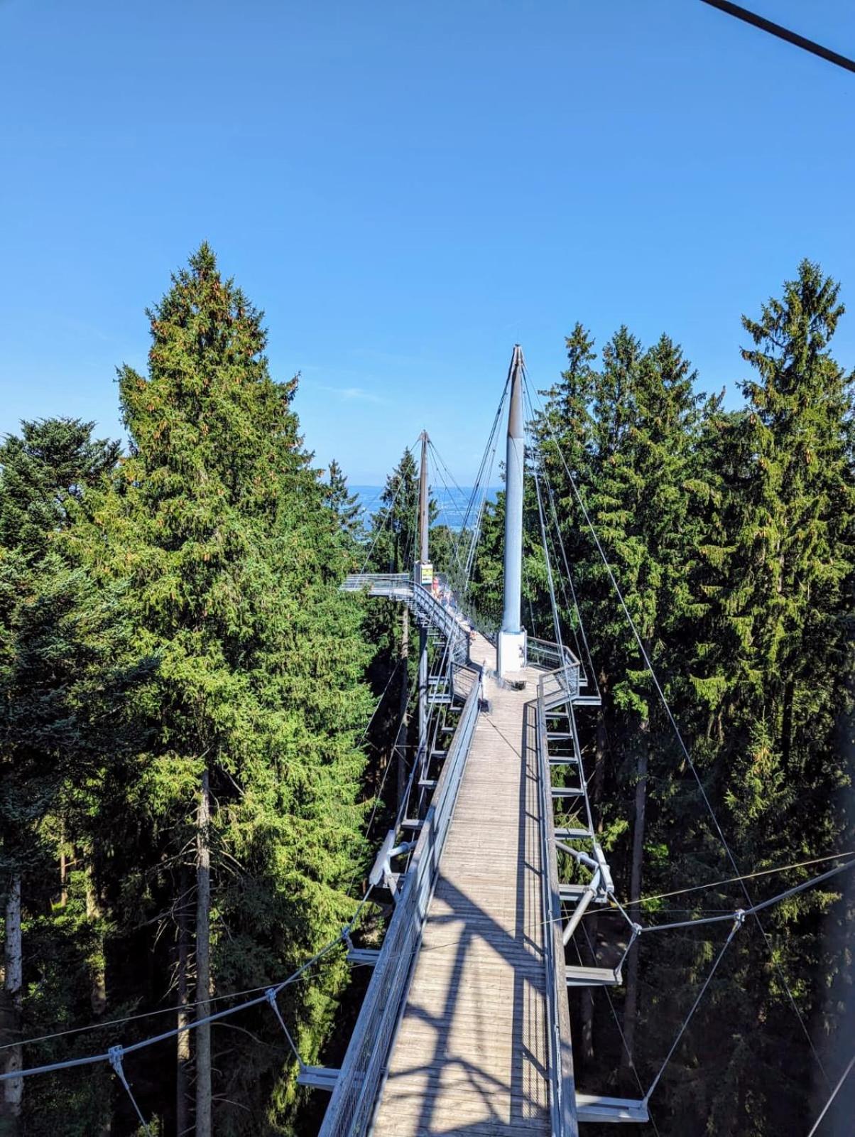 Bergpfote *