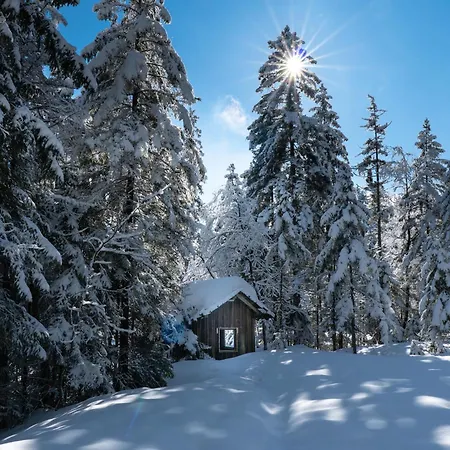 Ferienwohnung BergPfote Scheidegg Exterior foto